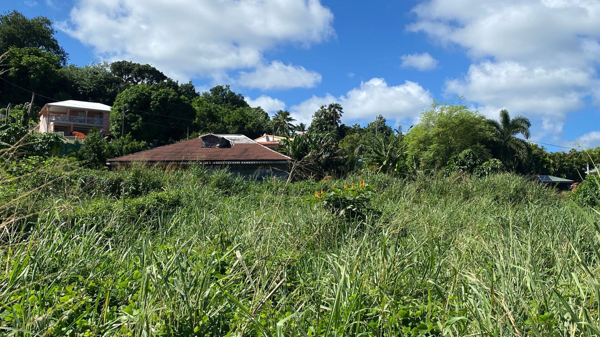 Vente Terrain à Sainte-Marie 0 pièce