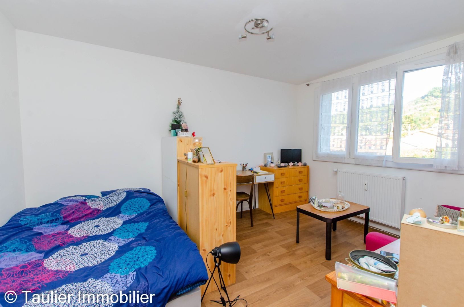 Location Appartement à Saint-Marcellin 1 pièce