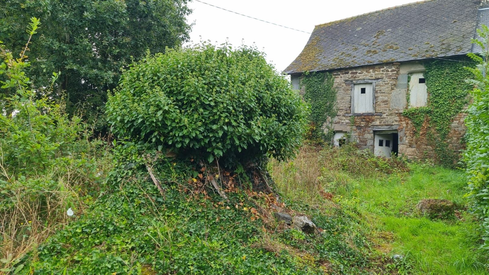 Vente Maison à Plémet 2 pièces