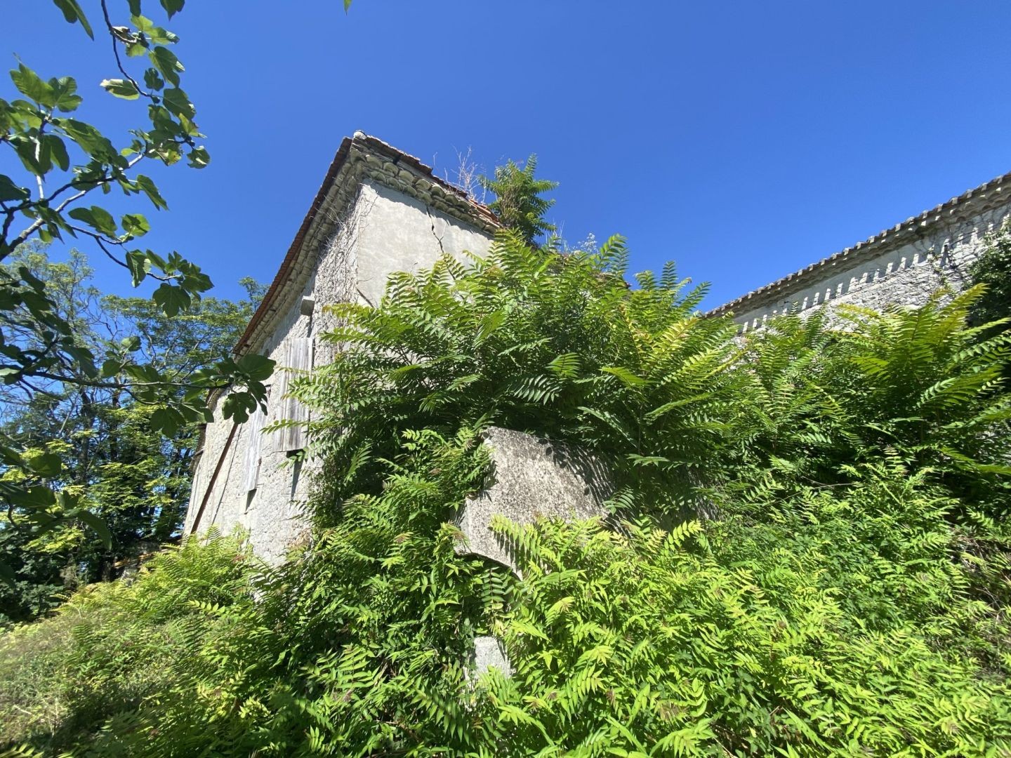 Vente Maison à Montaigu-de-Quercy 2 pièces