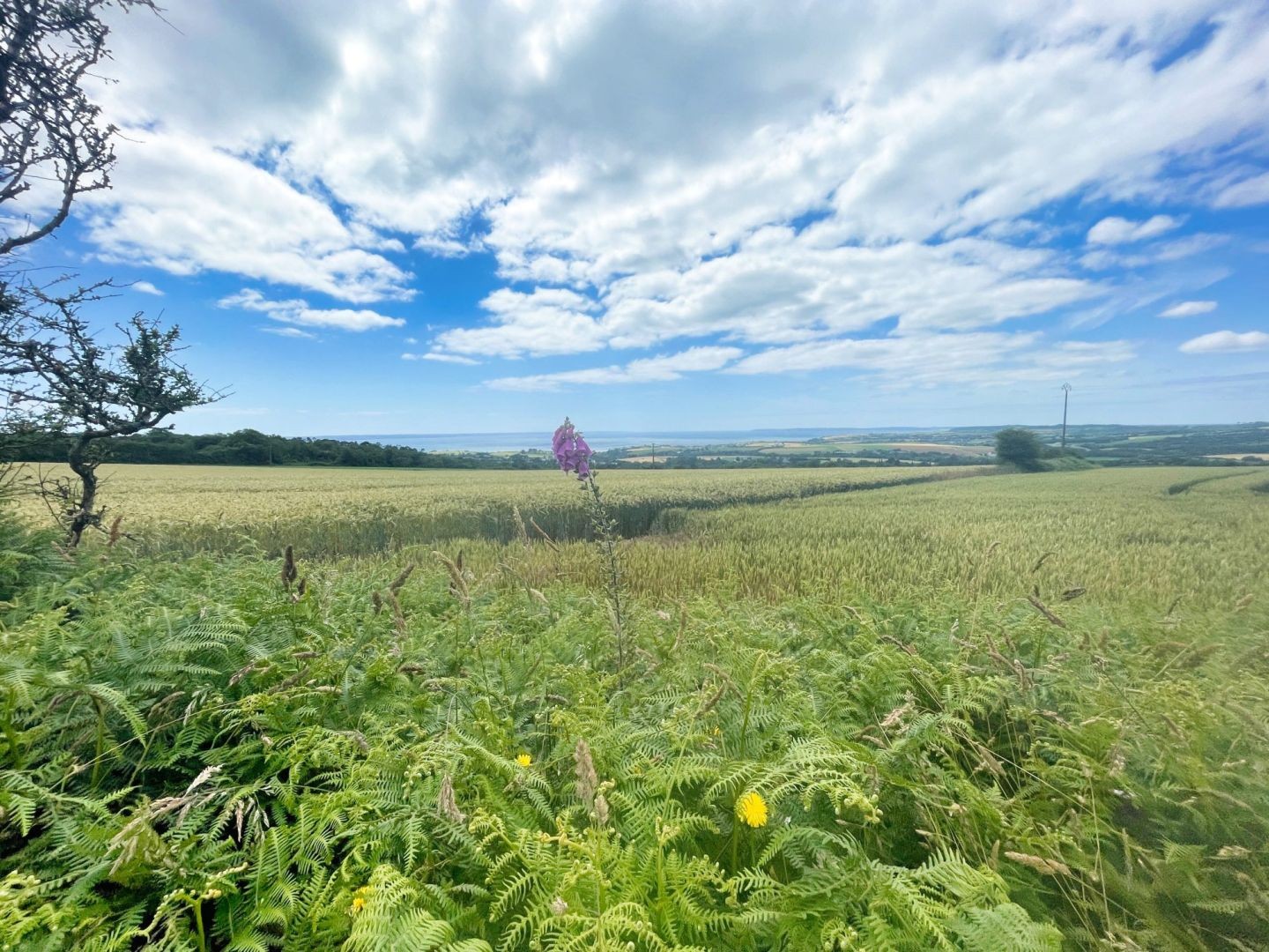 Vente Maison à Plomodiern 10 pièces