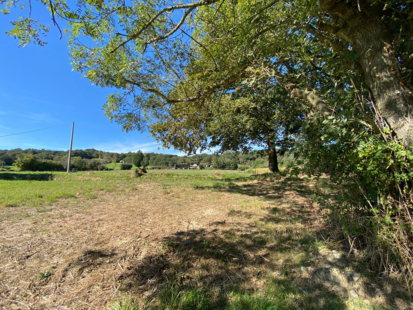 Vente Terrain à Morlaàs 0 pièce