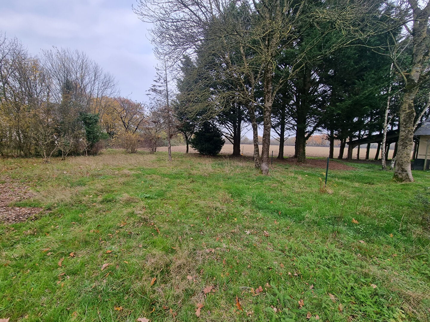 Vente Terrain à Saint-Augustin-des-Bois 0 pièce