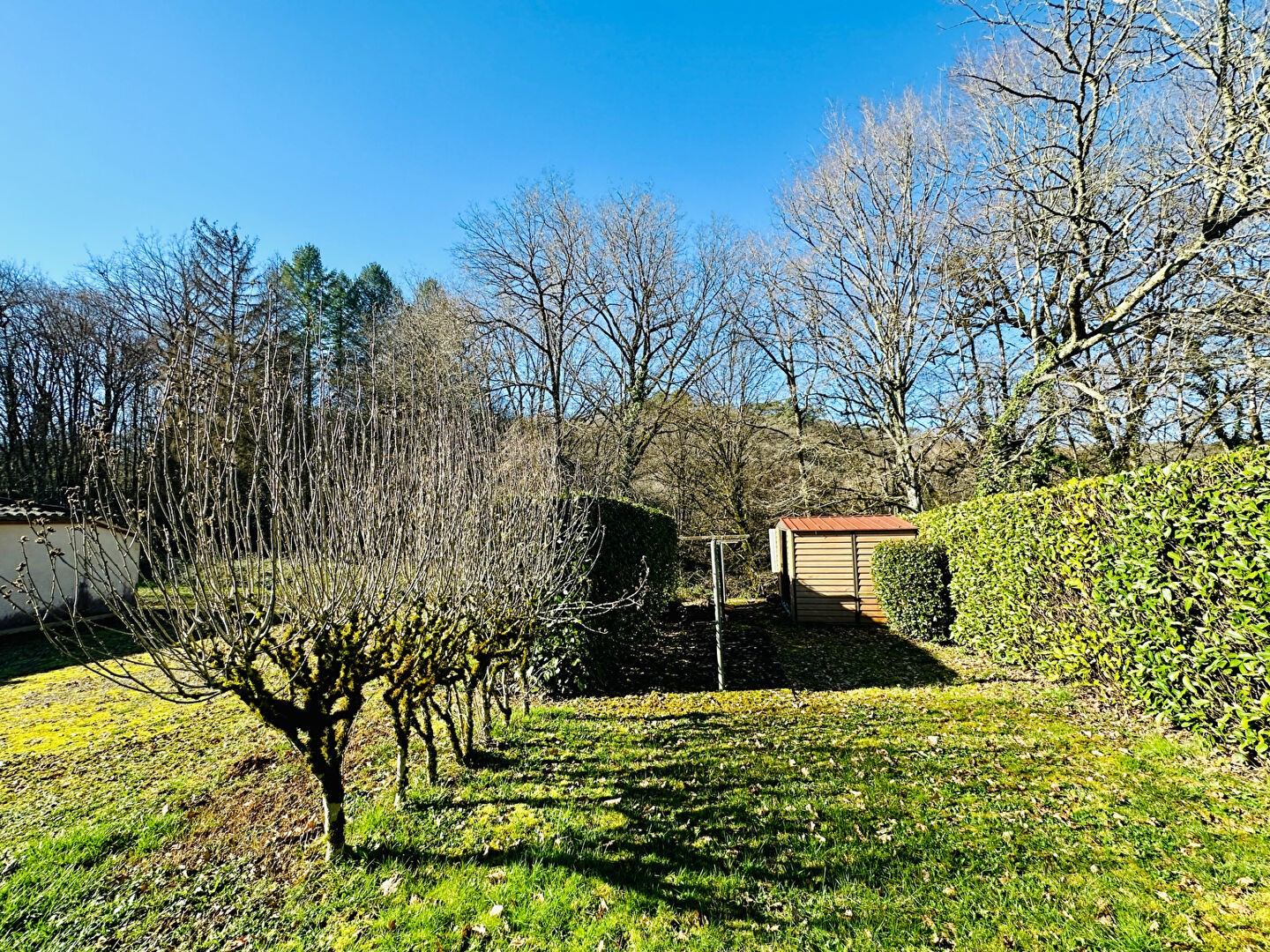 Vente Maison à Cuzorn 9 pièces