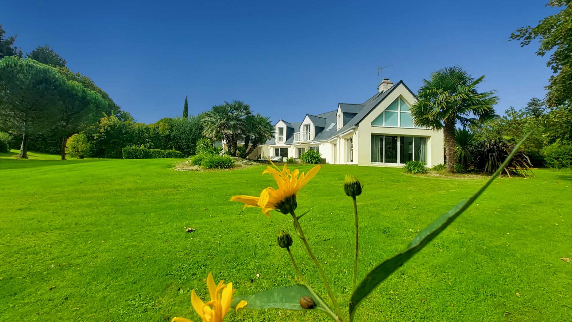 Vente Maison à Saint-André-des-Eaux 7 pièces