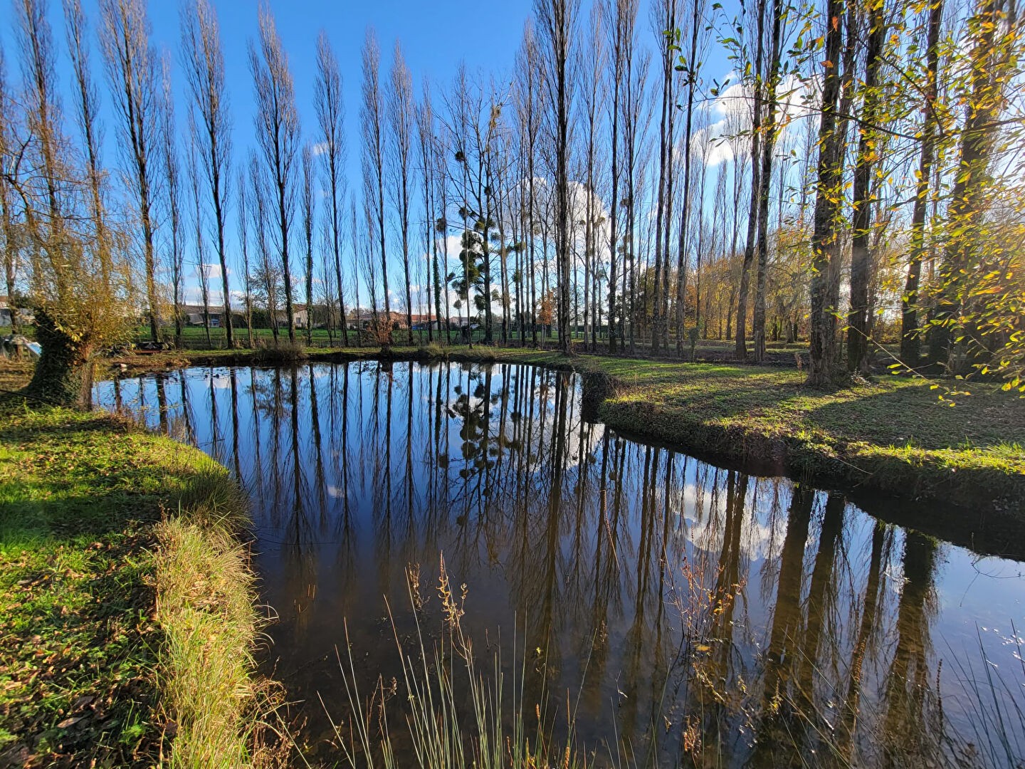 Vente Terrain à Legé 0 pièce