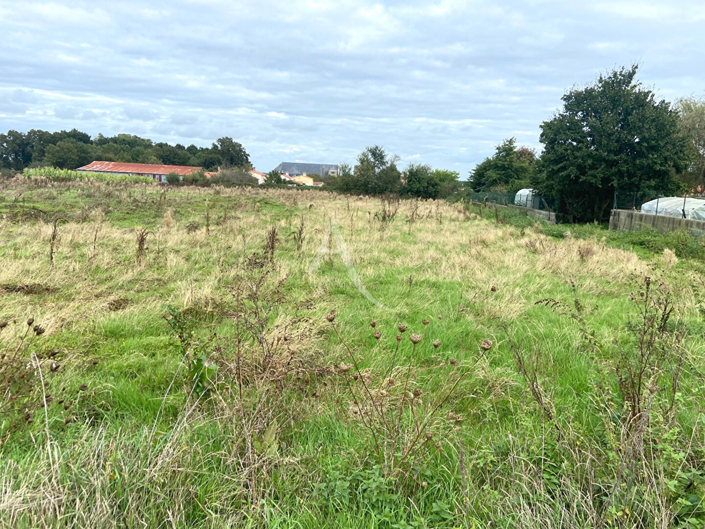 Vente Terrain à Chavagnes-en-Paillers 0 pièce