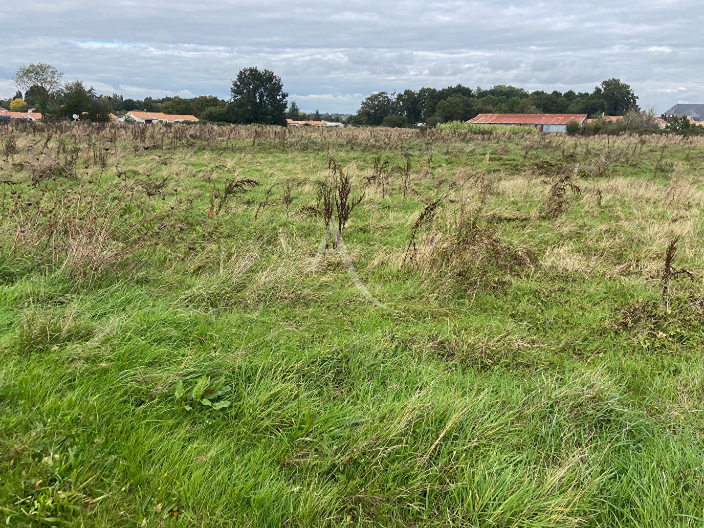 Vente Terrain à Chavagnes-en-Paillers 0 pièce