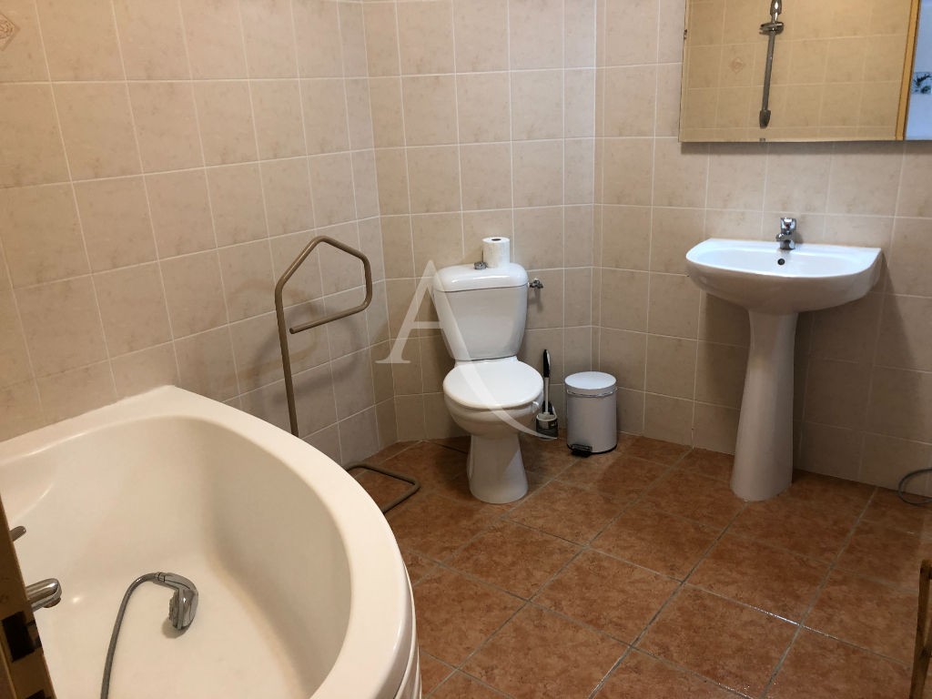 Location Appartement à Albi 2 pièces