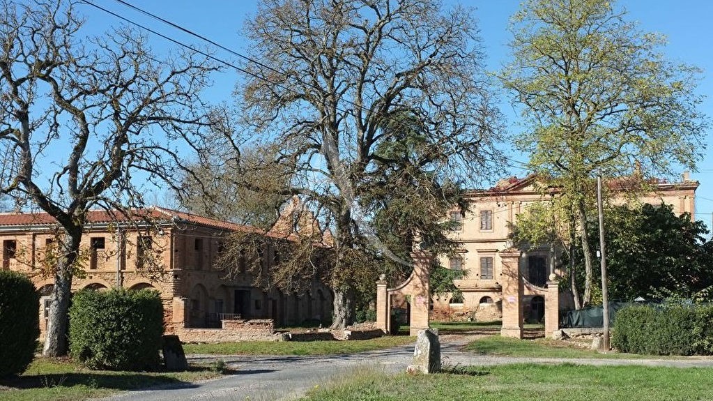 Vente Maison à Albi 0 pièce