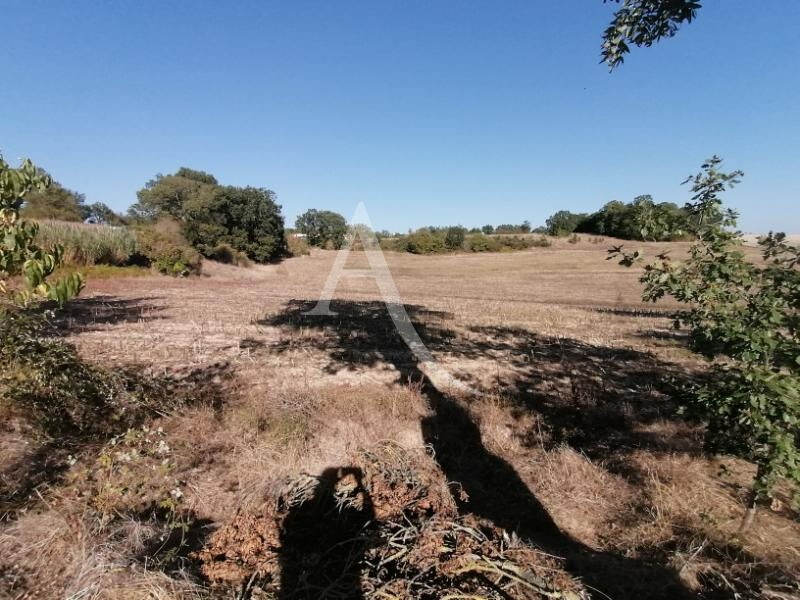 Vente Terrain à Albi 0 pièce