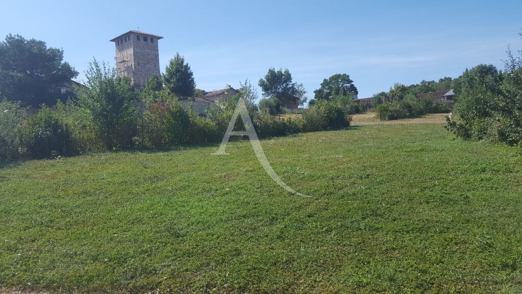 Vente Terrain à Albi 0 pièce