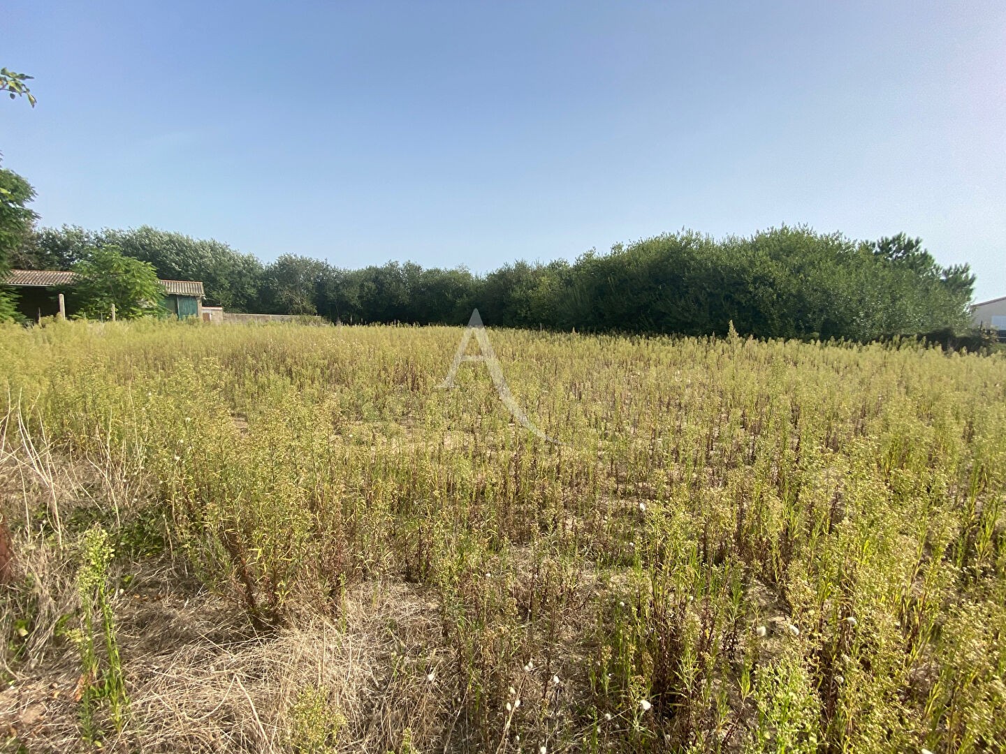 Vente Terrain à la Tranche-sur-Mer 0 pièce