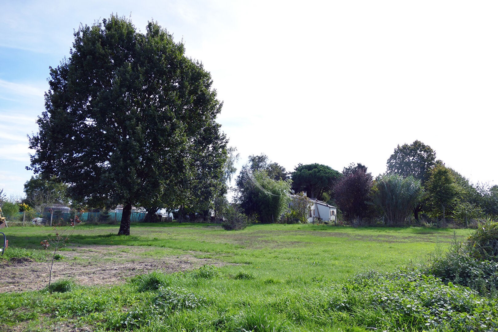 Vente Terrain à Arvert 0 pièce