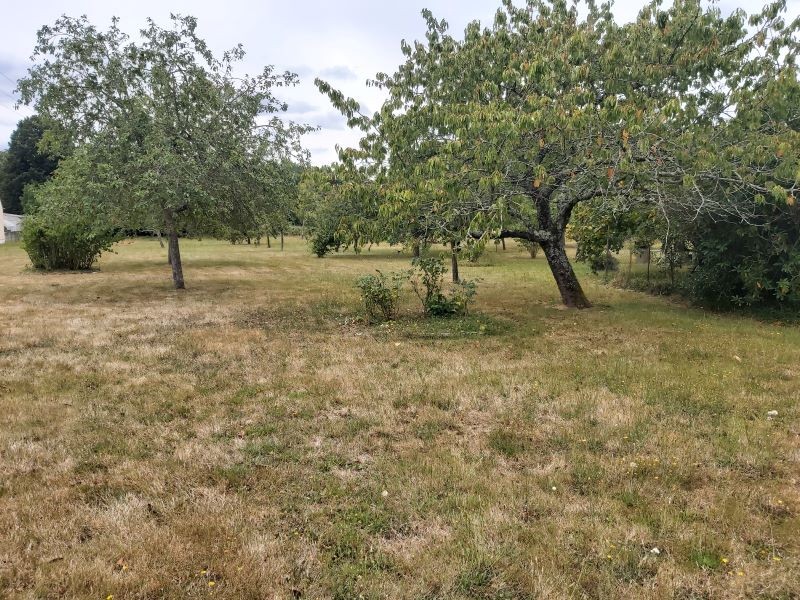 Vente Terrain à Saint-Gildas-des-Bois 0 pièce