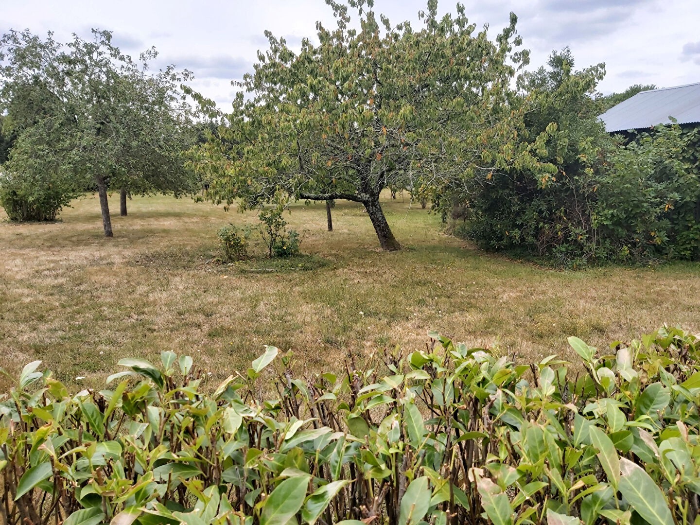 Vente Terrain à Saint-Gildas-des-Bois 0 pièce