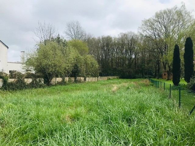 Vente Terrain à la Chapelle-des-Marais 0 pièce