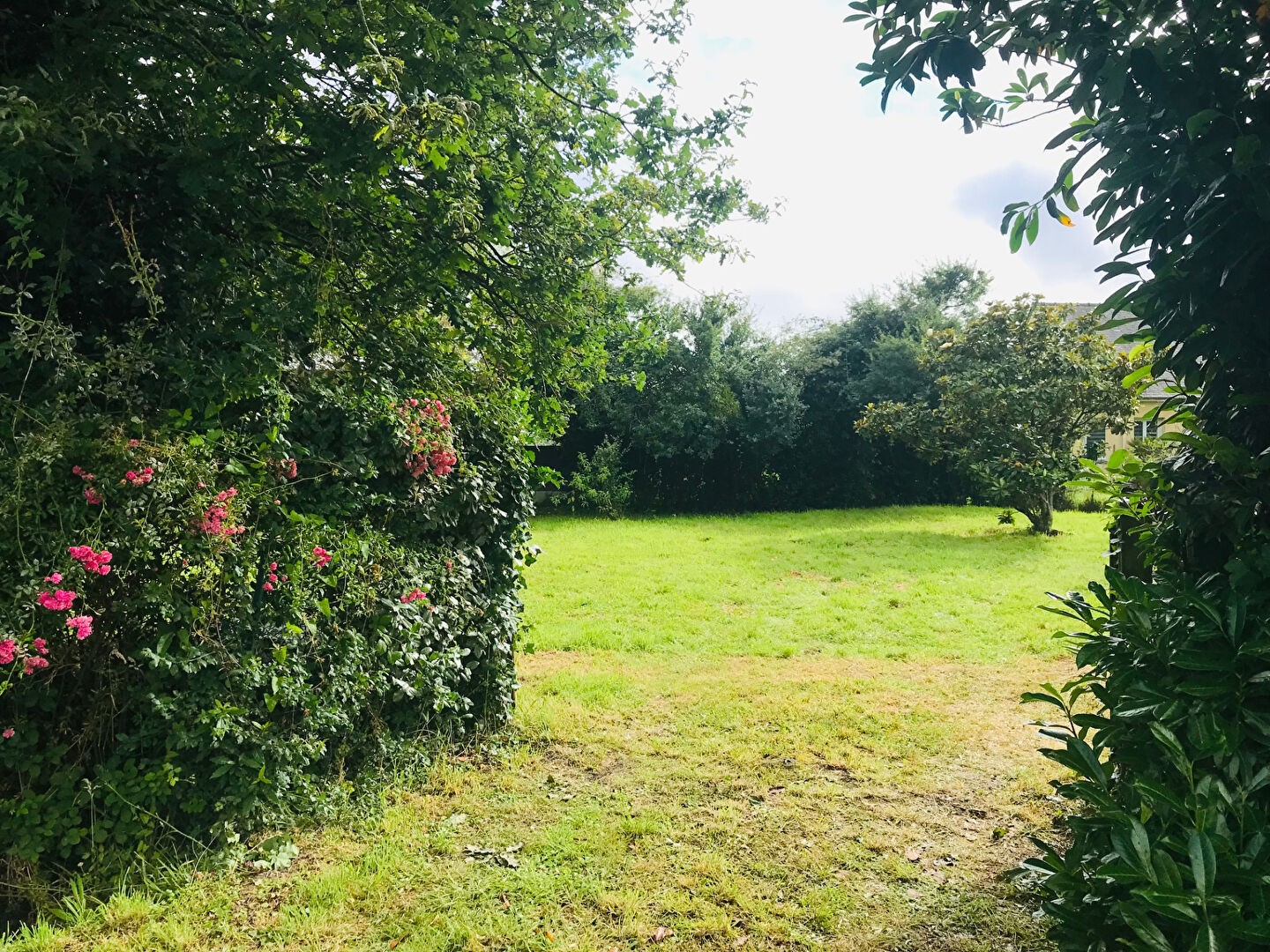 Vente Terrain à la Chapelle-des-Marais 0 pièce