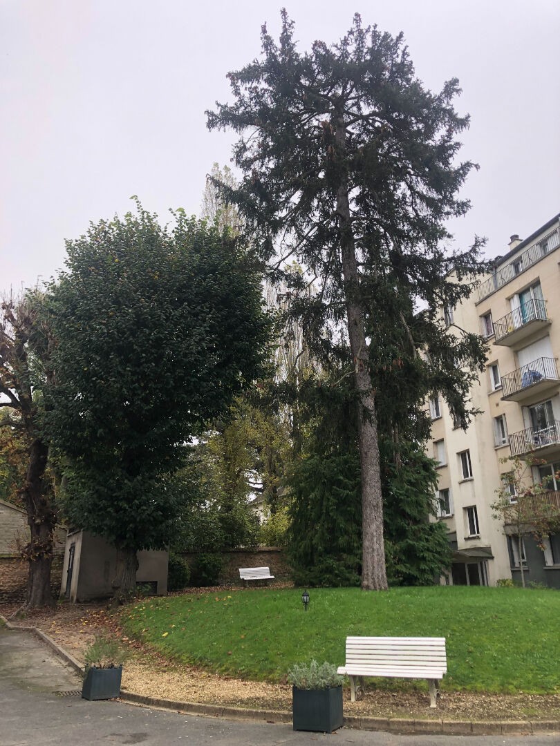 Location Appartement à Versailles 3 pièces