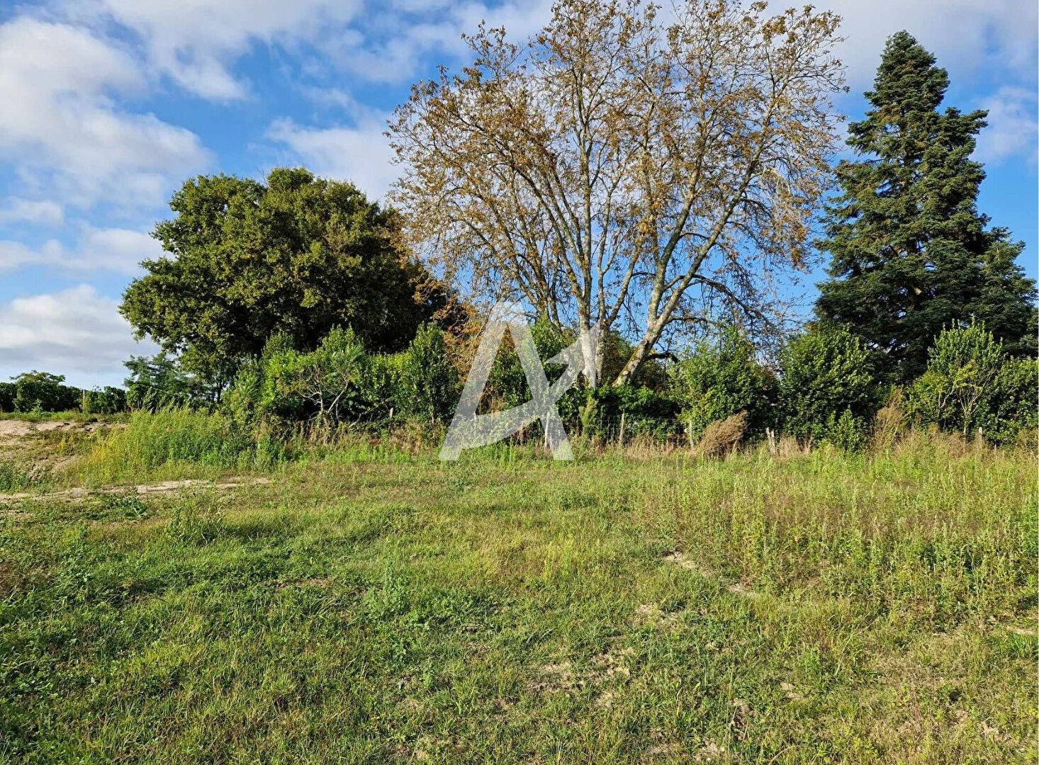 Vente Terrain à Saint-Savin 0 pièce