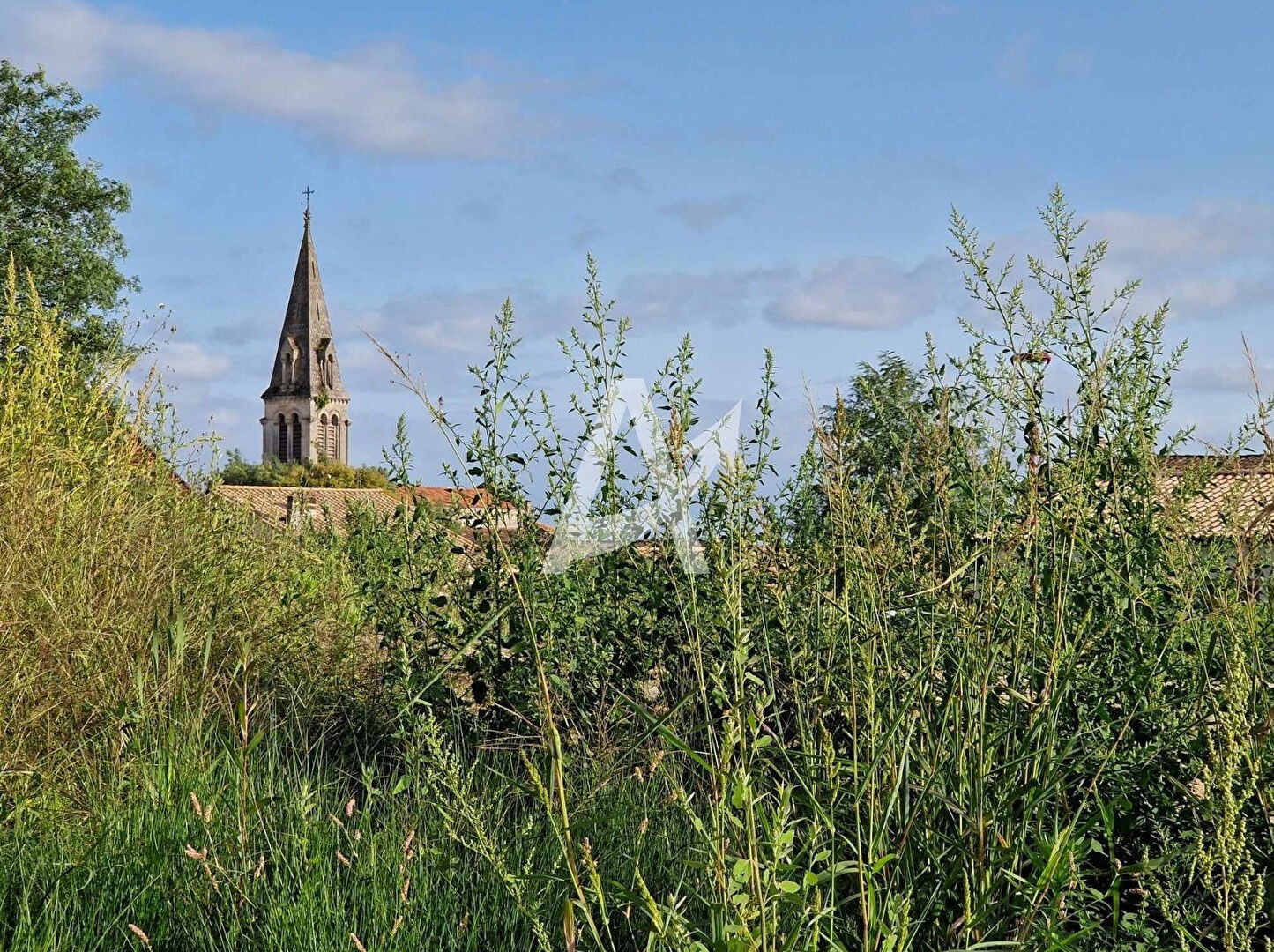 Vente Terrain à Saint-Savin 0 pièce