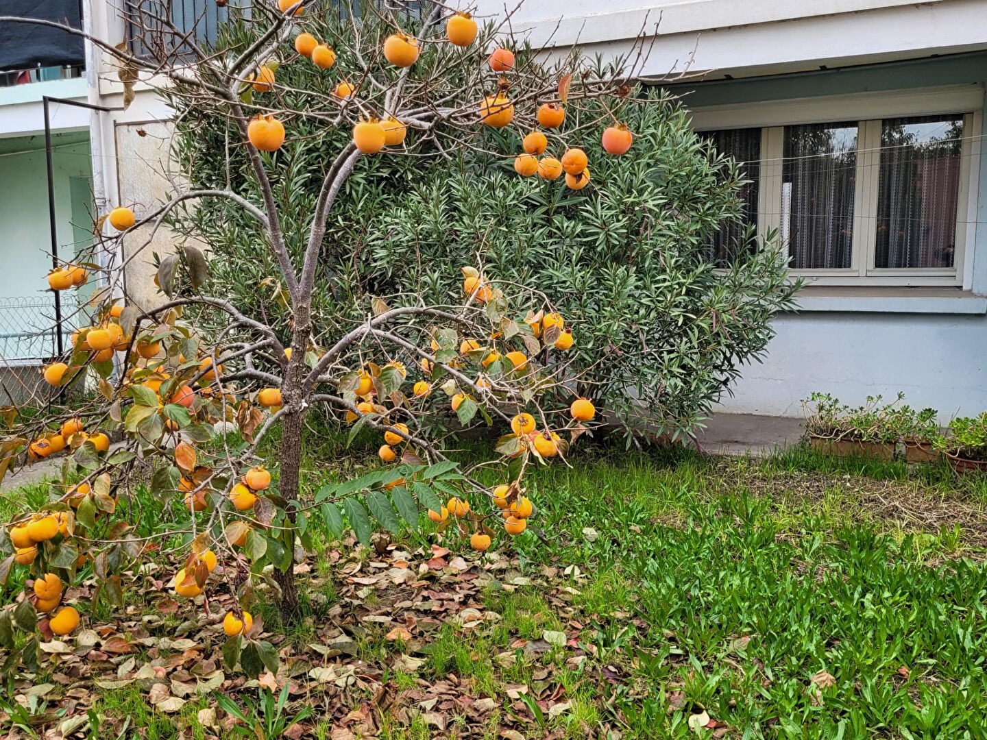 Vente Maison à Montauban 5 pièces