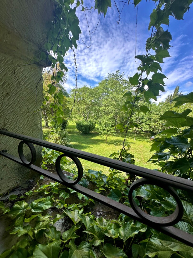 Vente Maison à Saint-Rémy-de-Provence 18 pièces