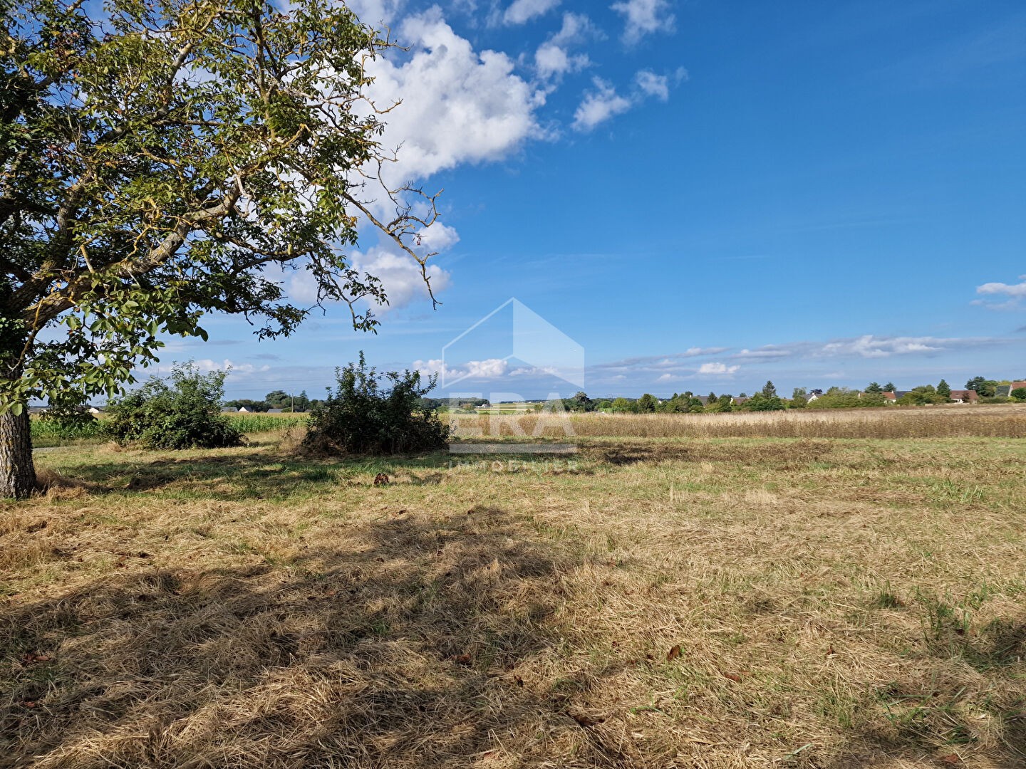 Vente Terrain à Athée-sur-Cher 0 pièce