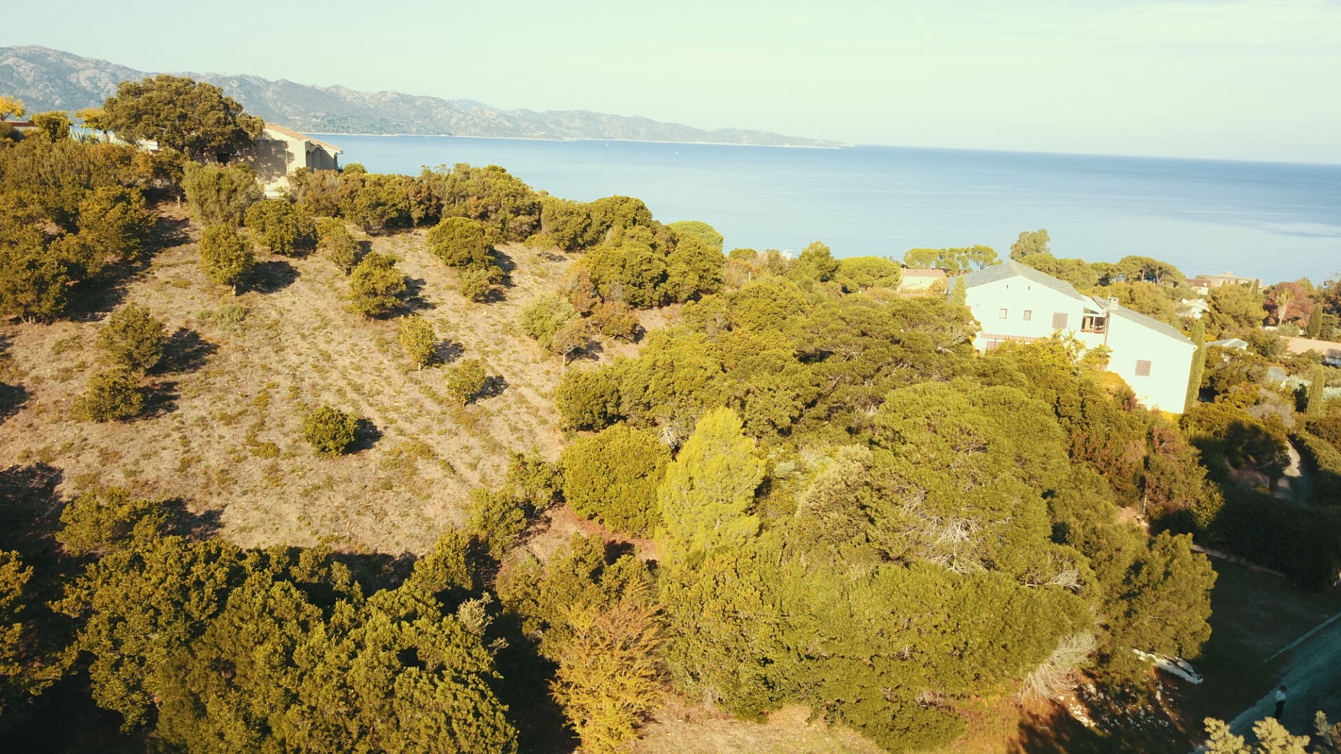 Vente Terrain à Saint-Florent 0 pièce