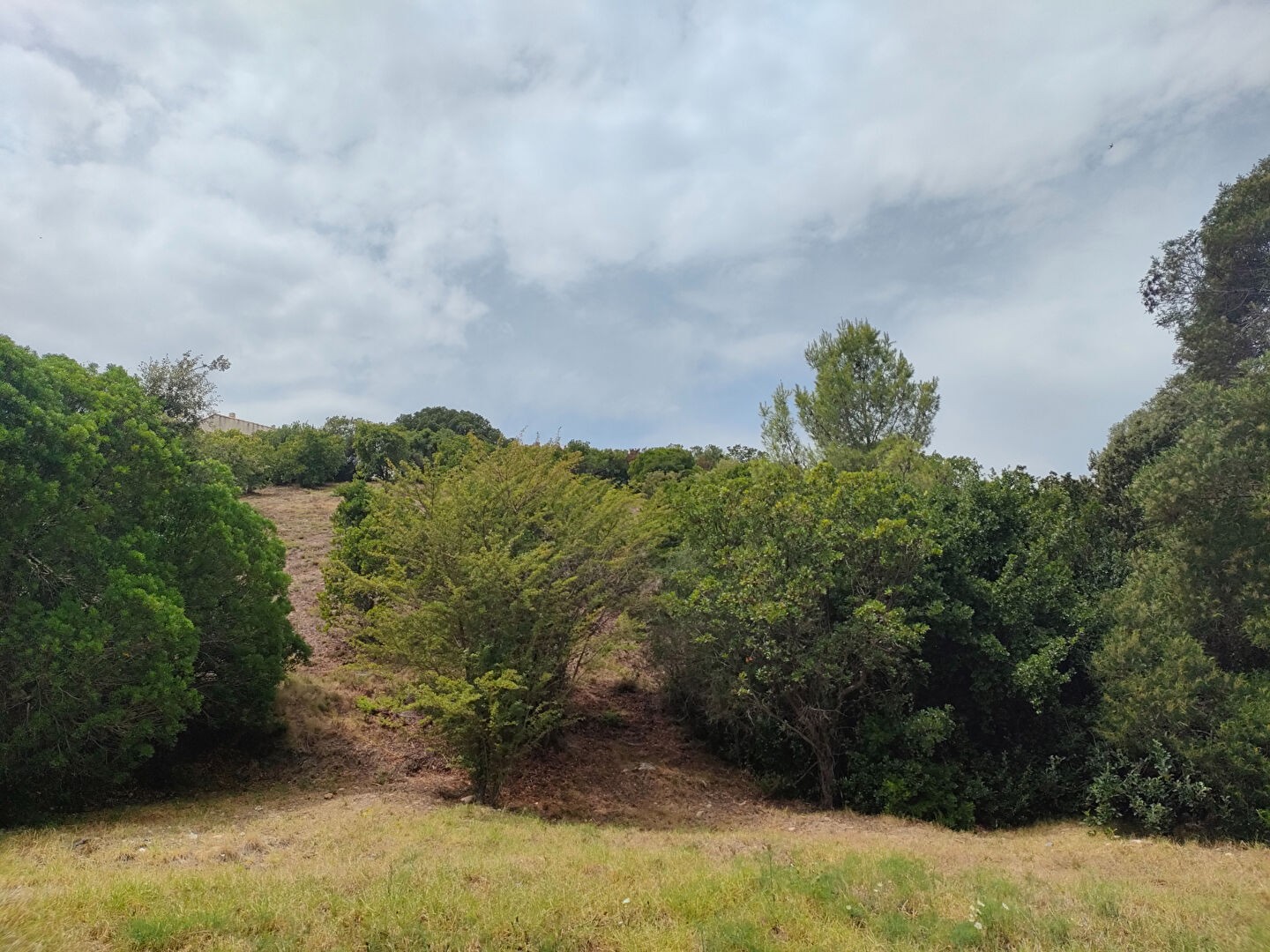 Vente Terrain à Saint-Florent 0 pièce