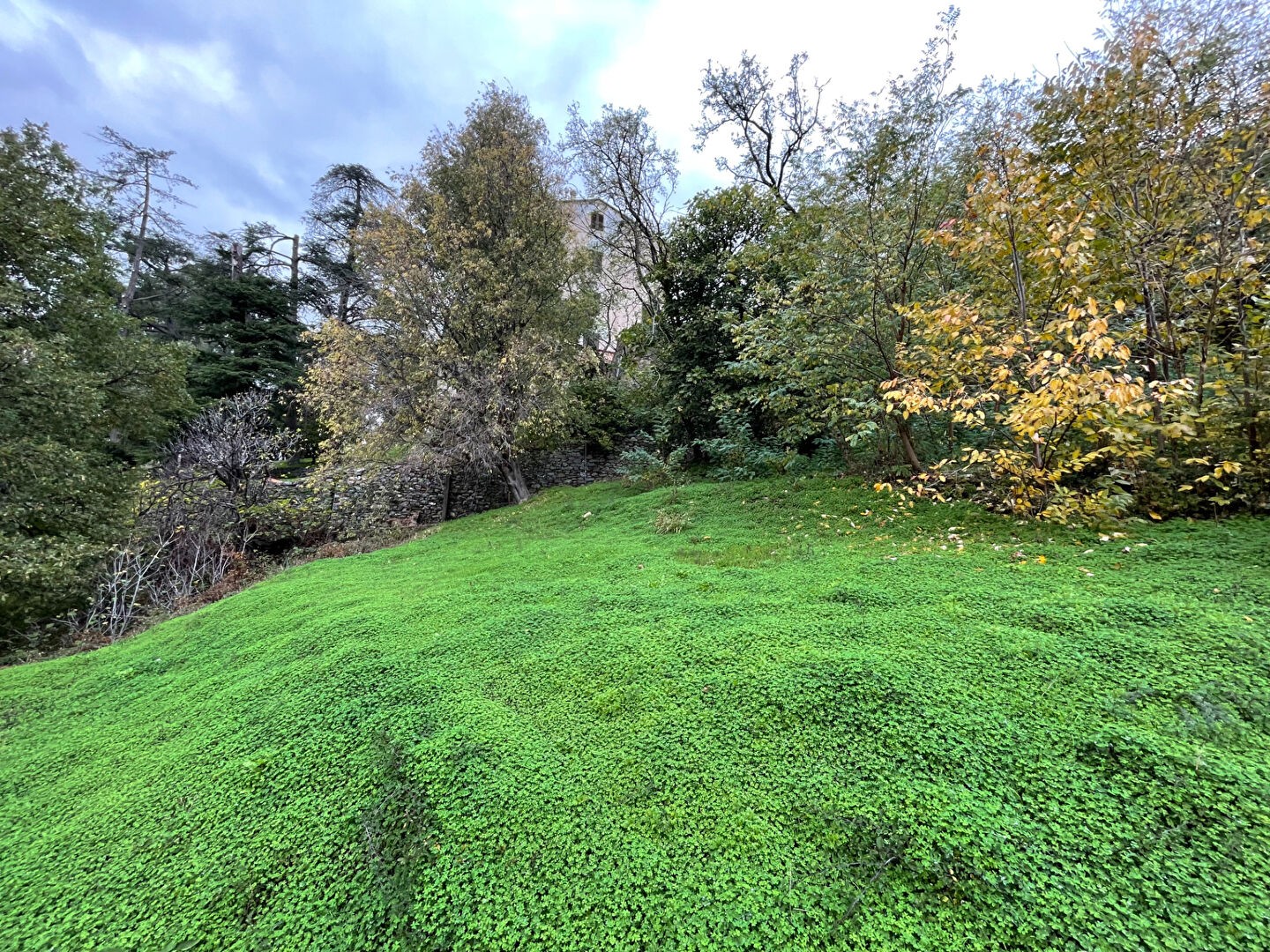 Vente Terrain à Oletta 0 pièce