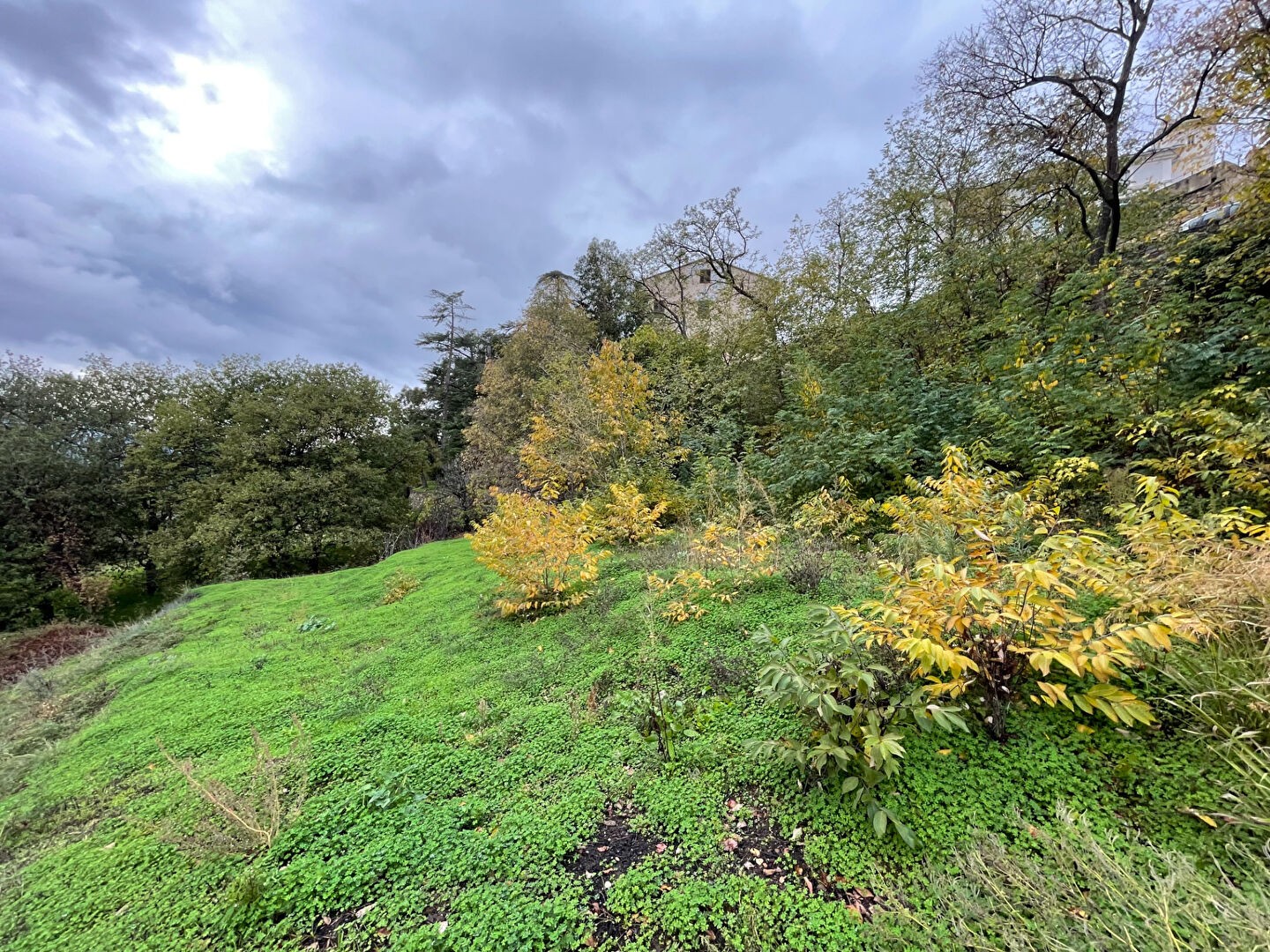 Vente Terrain à Oletta 0 pièce