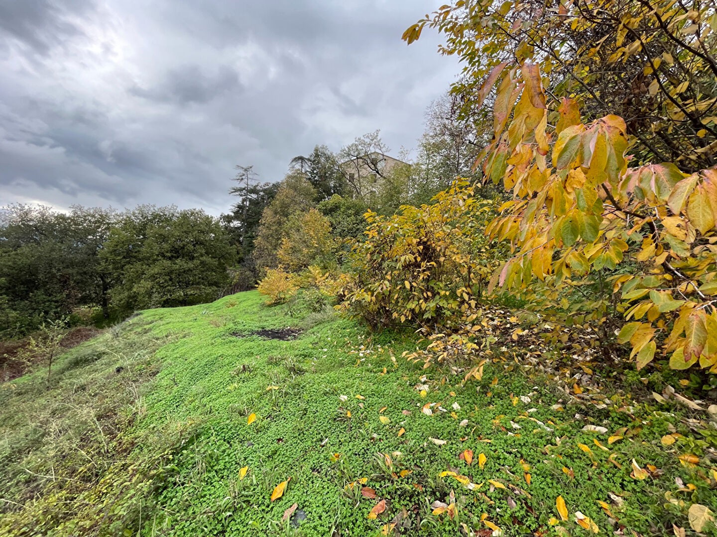 Vente Terrain à Oletta 0 pièce