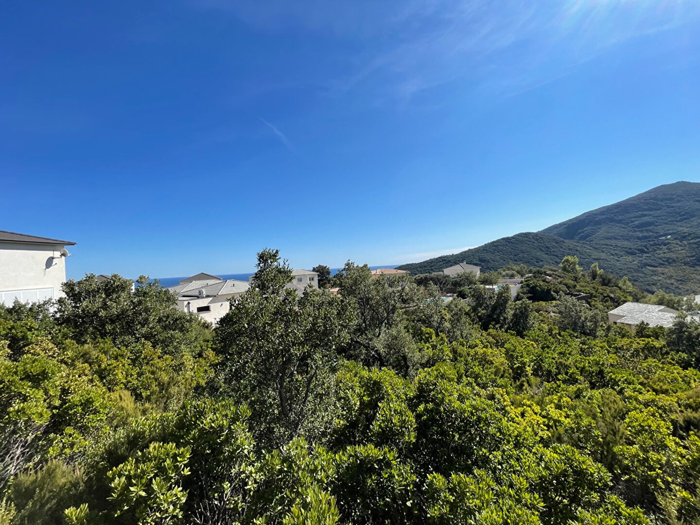 Vente Terrain à Santa-Maria-di-Lota 0 pièce