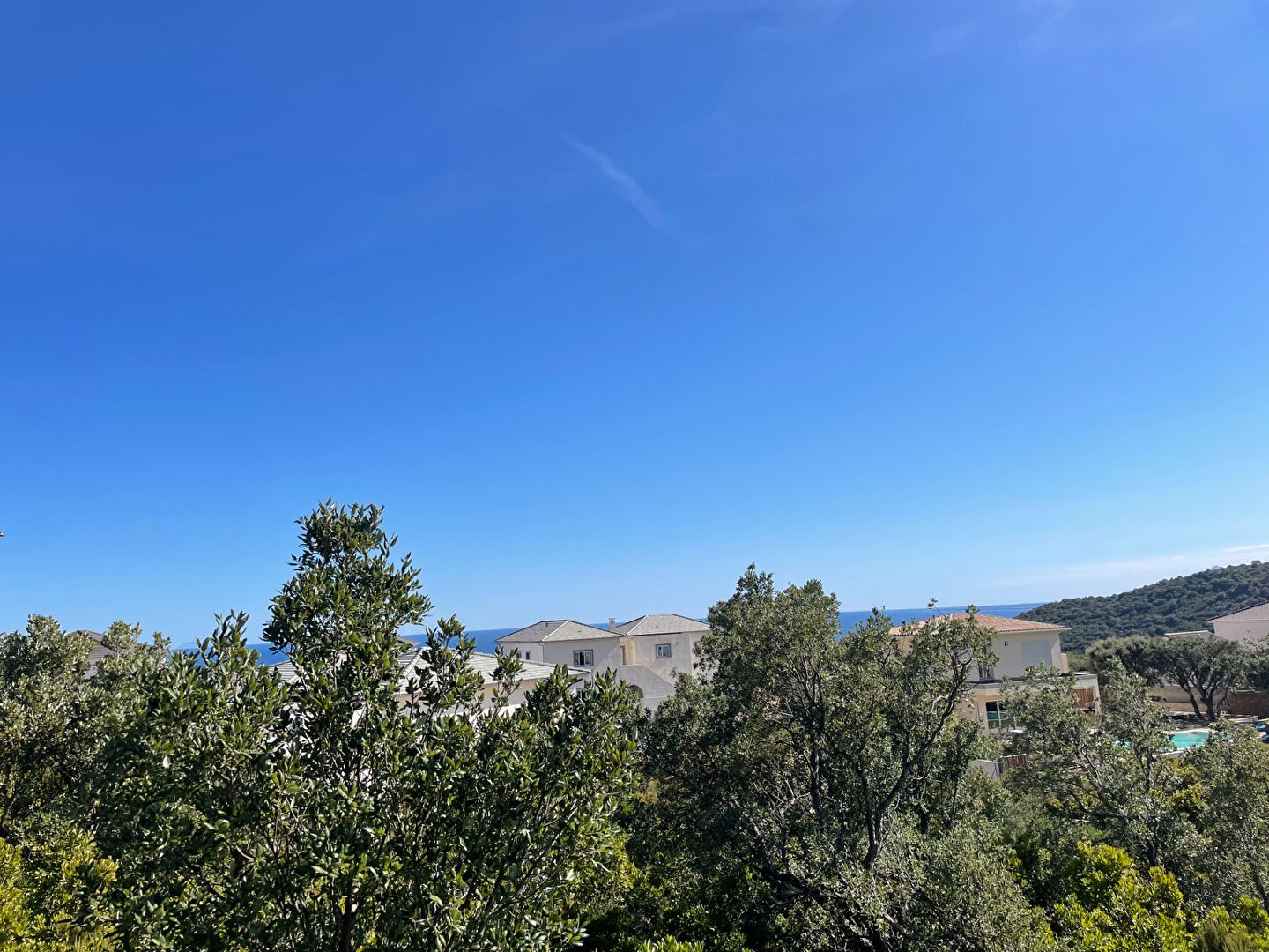 Vente Terrain à Santa-Maria-di-Lota 0 pièce