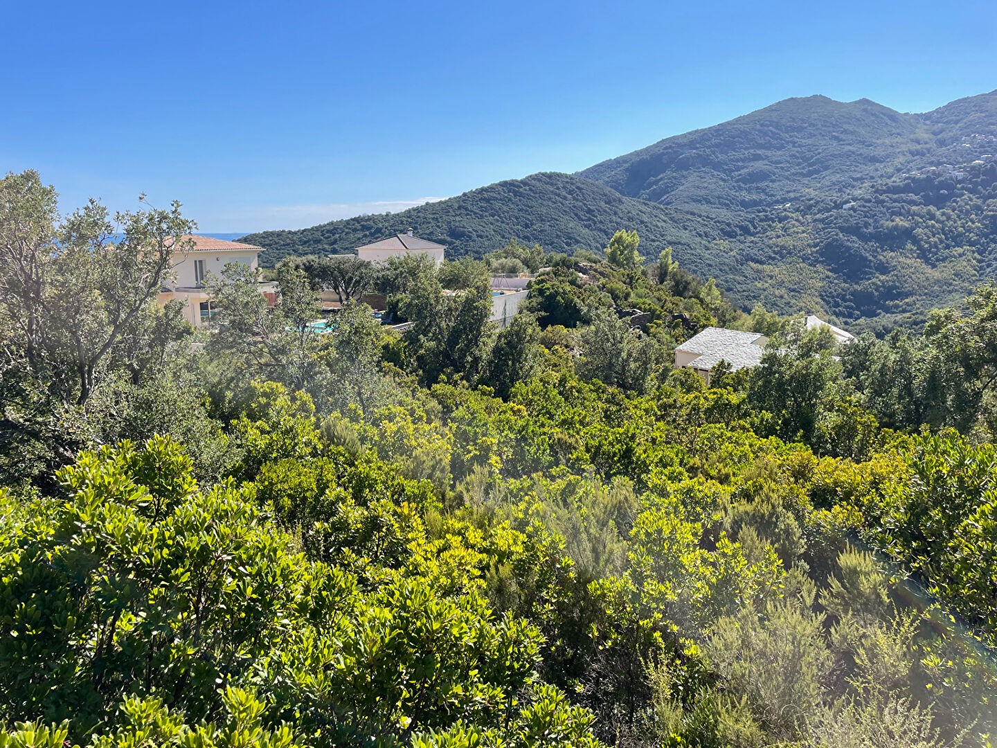 Vente Terrain à Santa-Maria-di-Lota 0 pièce