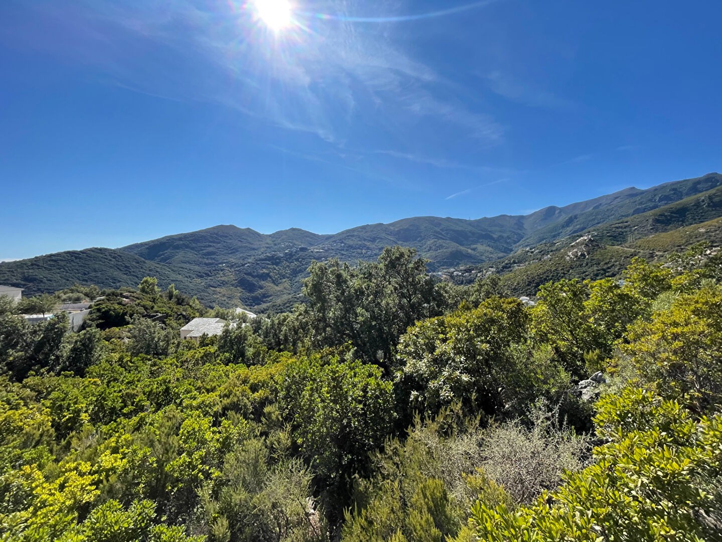 Vente Terrain à Santa-Maria-di-Lota 0 pièce