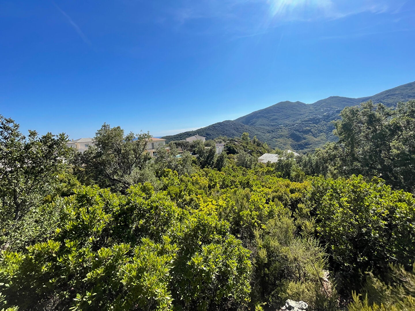 Vente Terrain à Santa-Maria-di-Lota 0 pièce