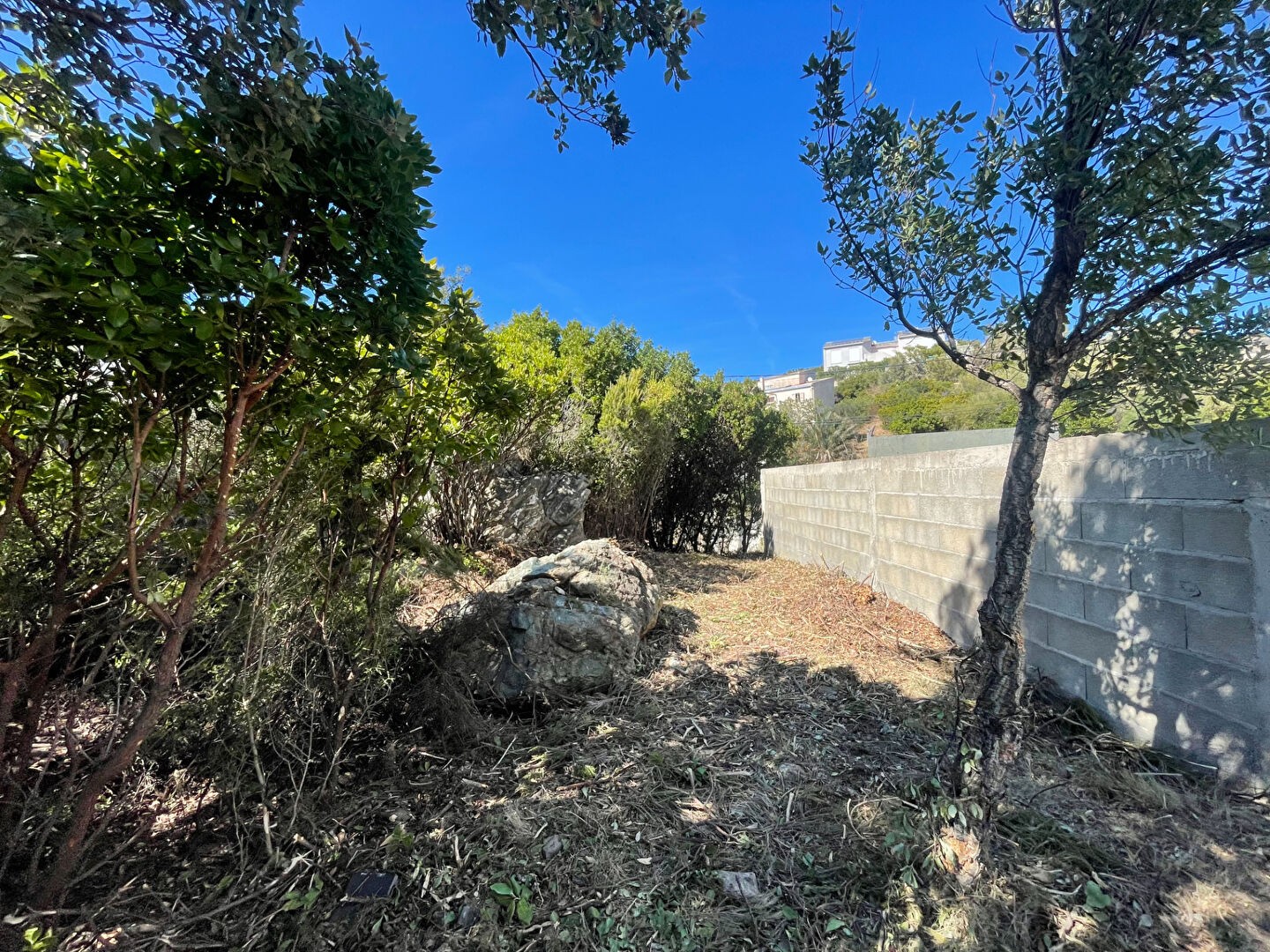 Vente Terrain à Santa-Maria-di-Lota 0 pièce