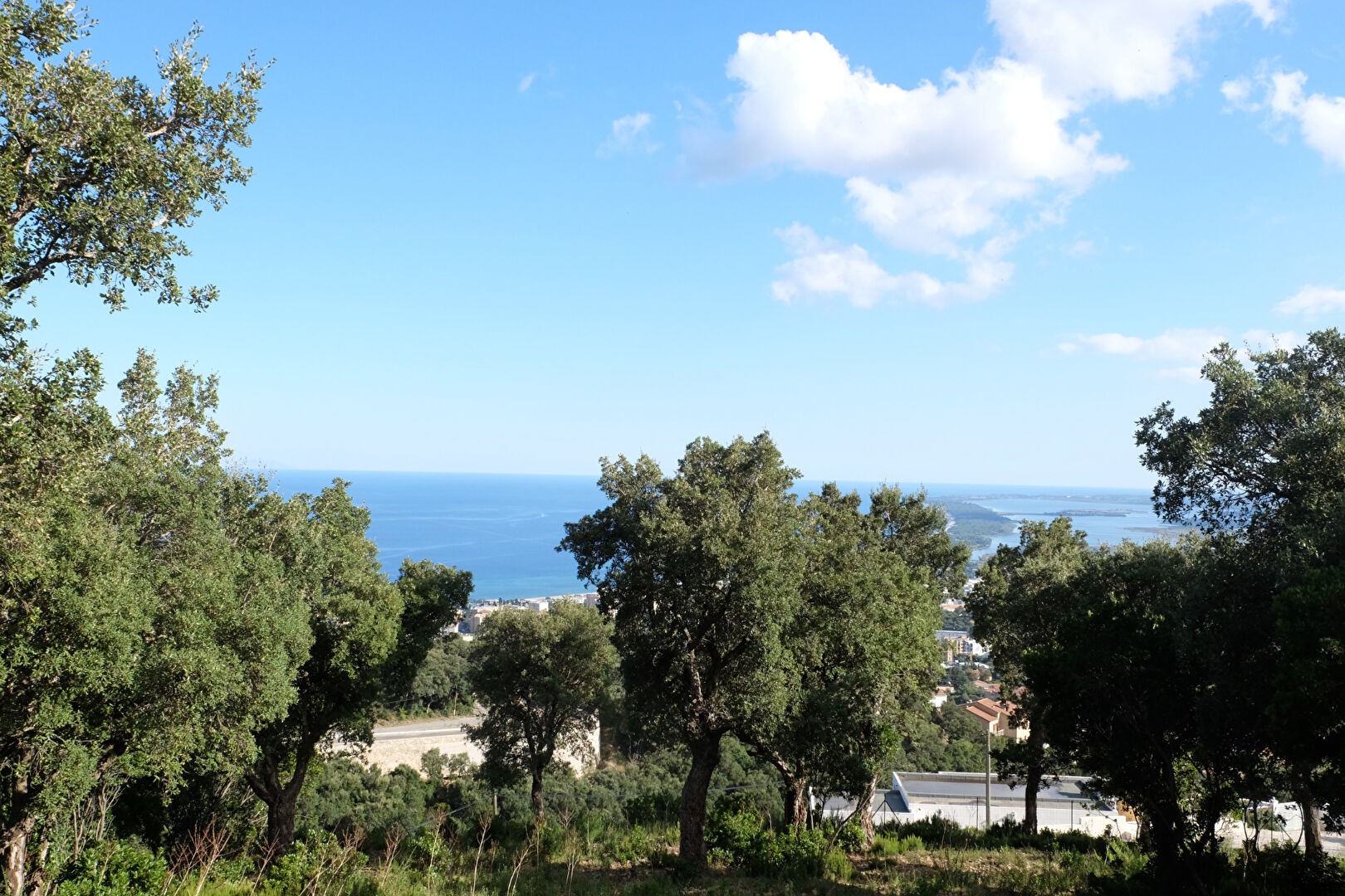 Vente Terrain à Bastia 0 pièce