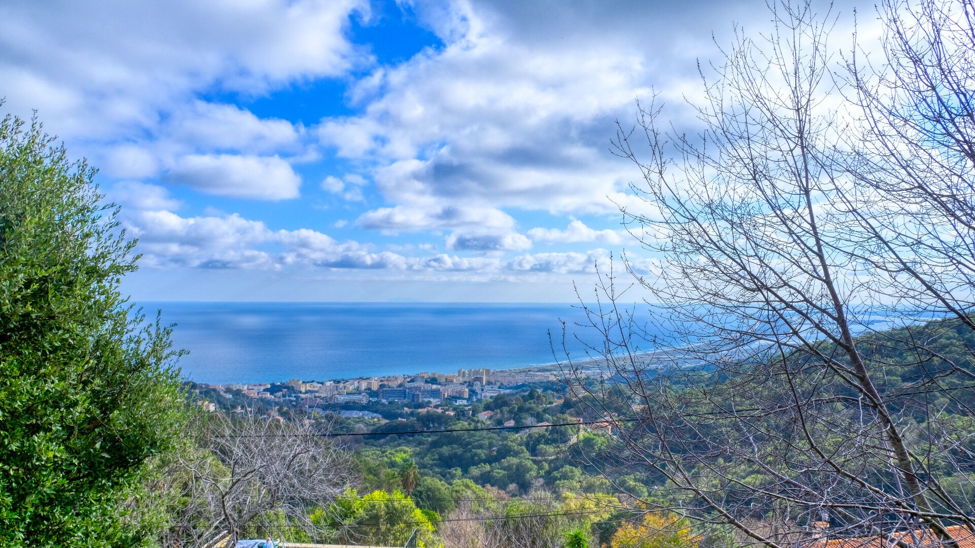 Vente Terrain à Bastia 0 pièce