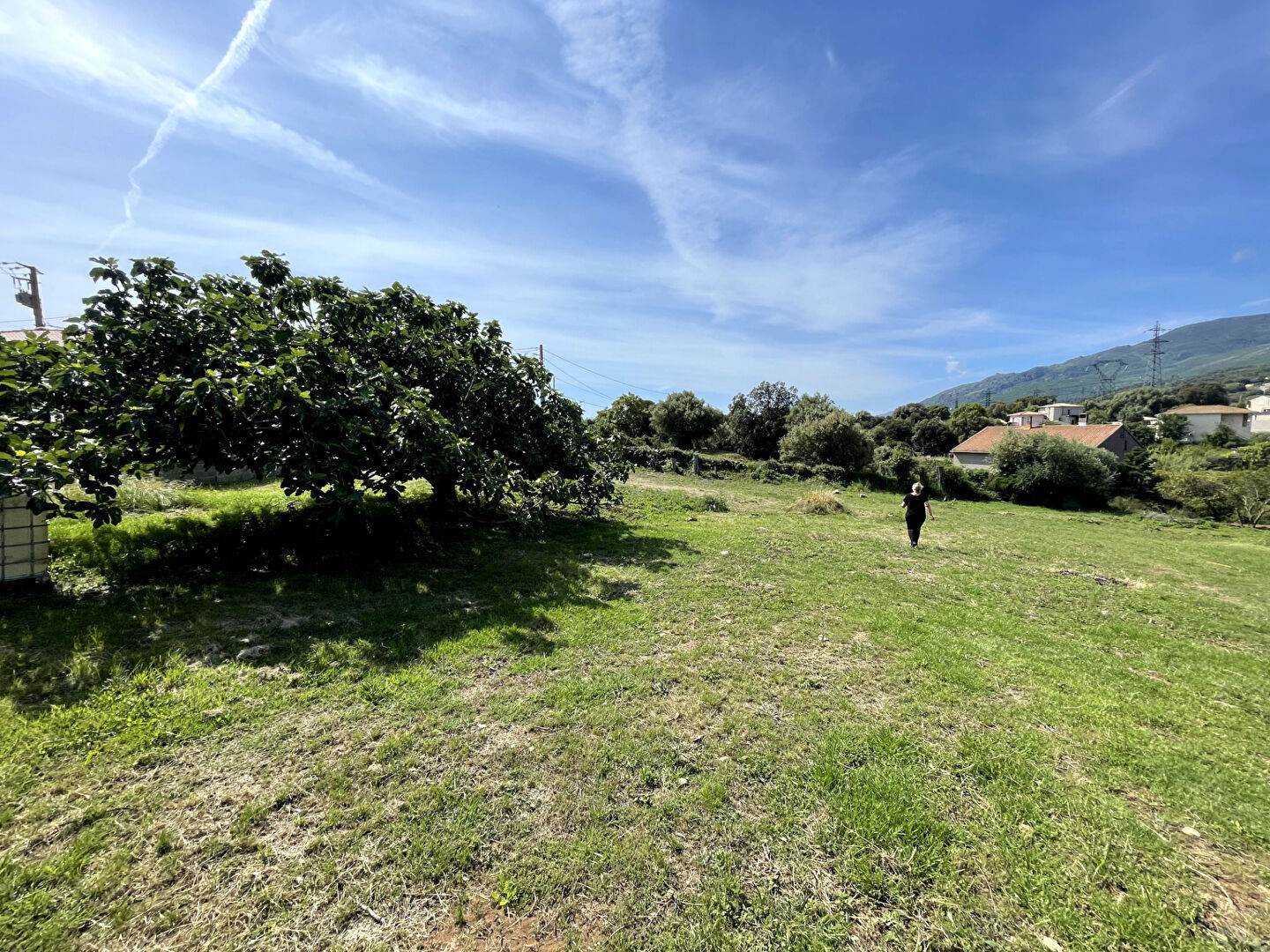 Vente Terrain à Bastia 0 pièce