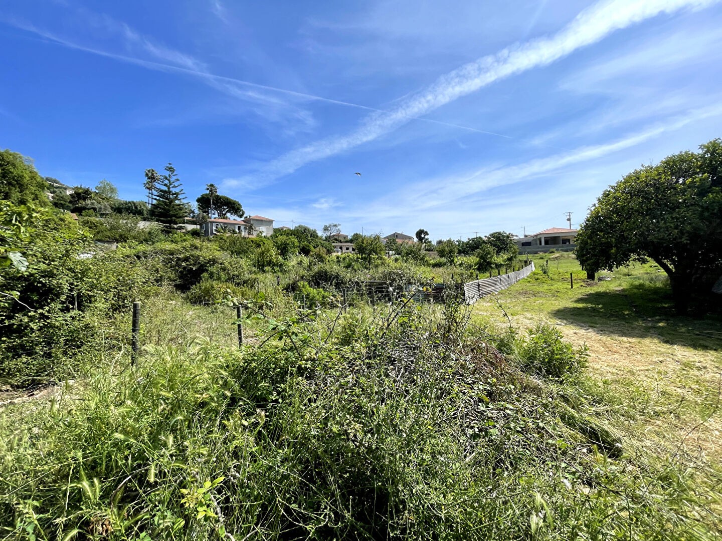 Vente Terrain à Bastia 0 pièce