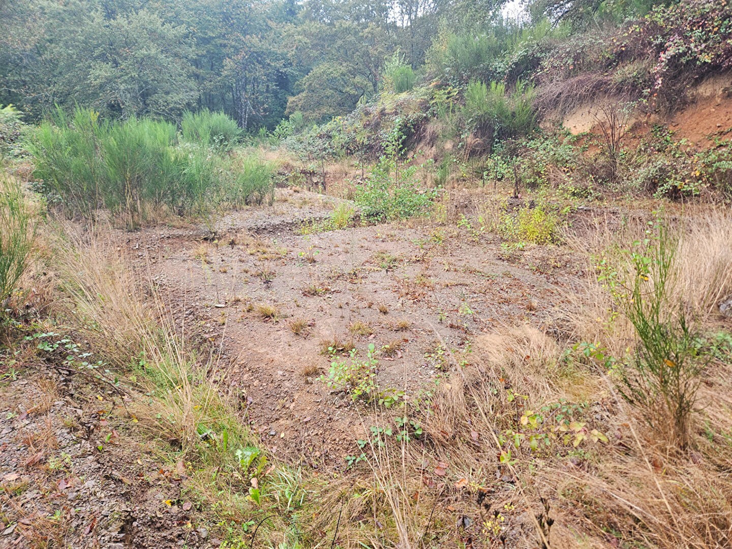 Vente Terrain à Champagney 0 pièce