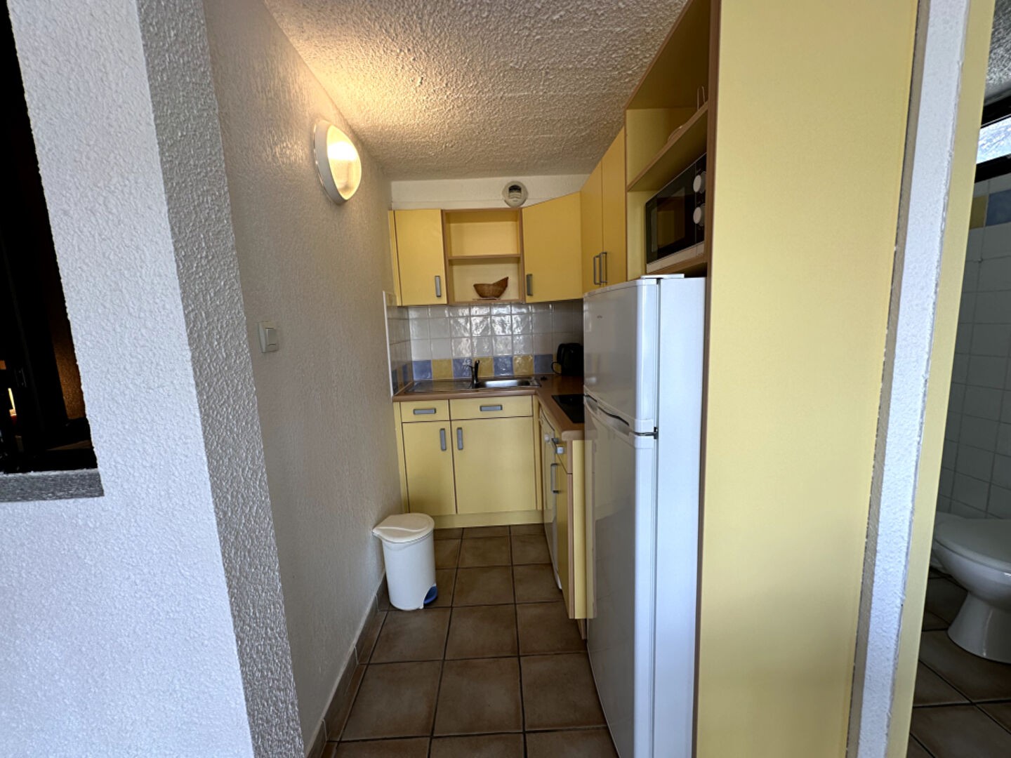 Vente Appartement à Borgo 1 pièce