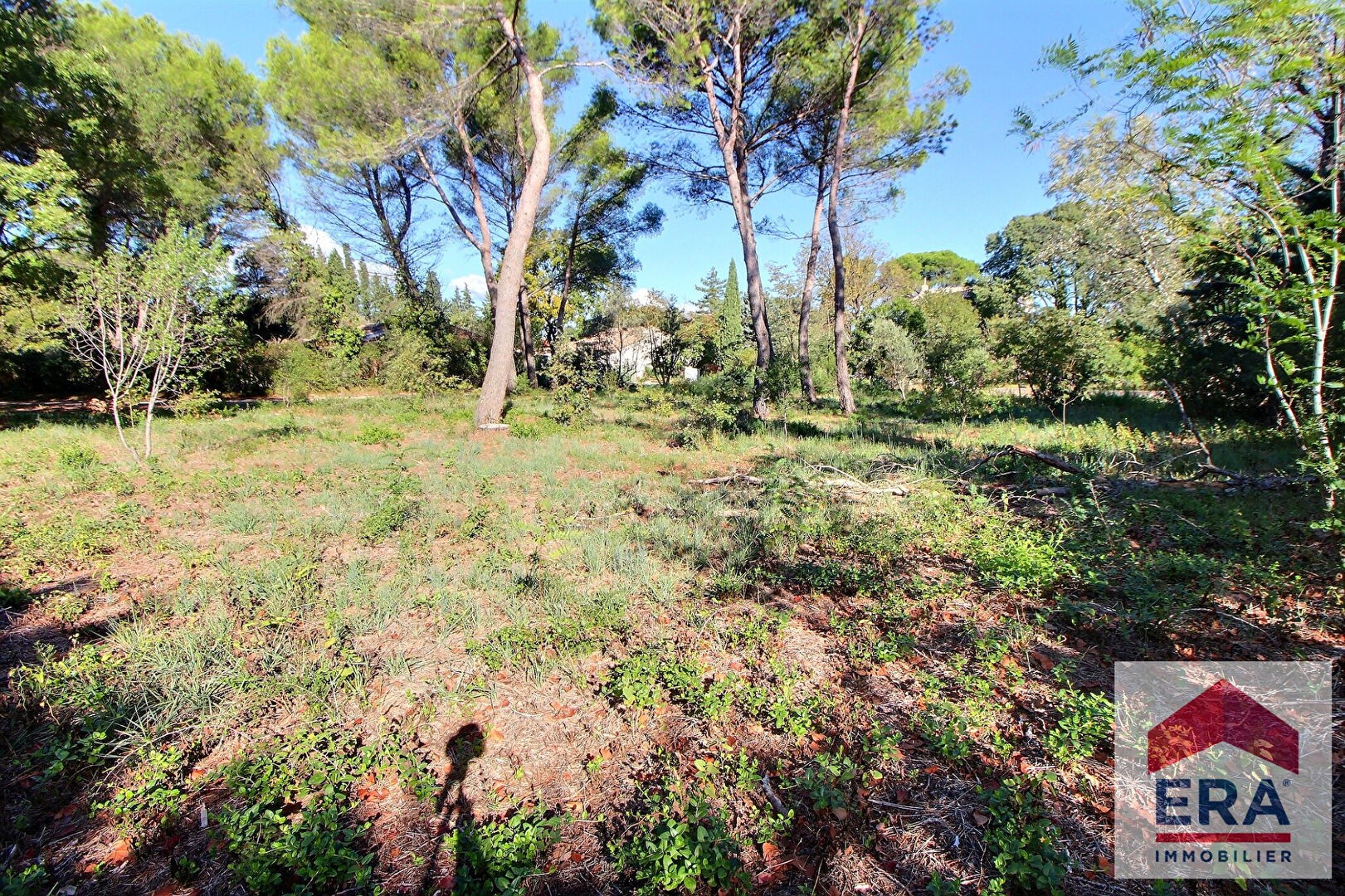 Vente Terrain à Bollène 0 pièce