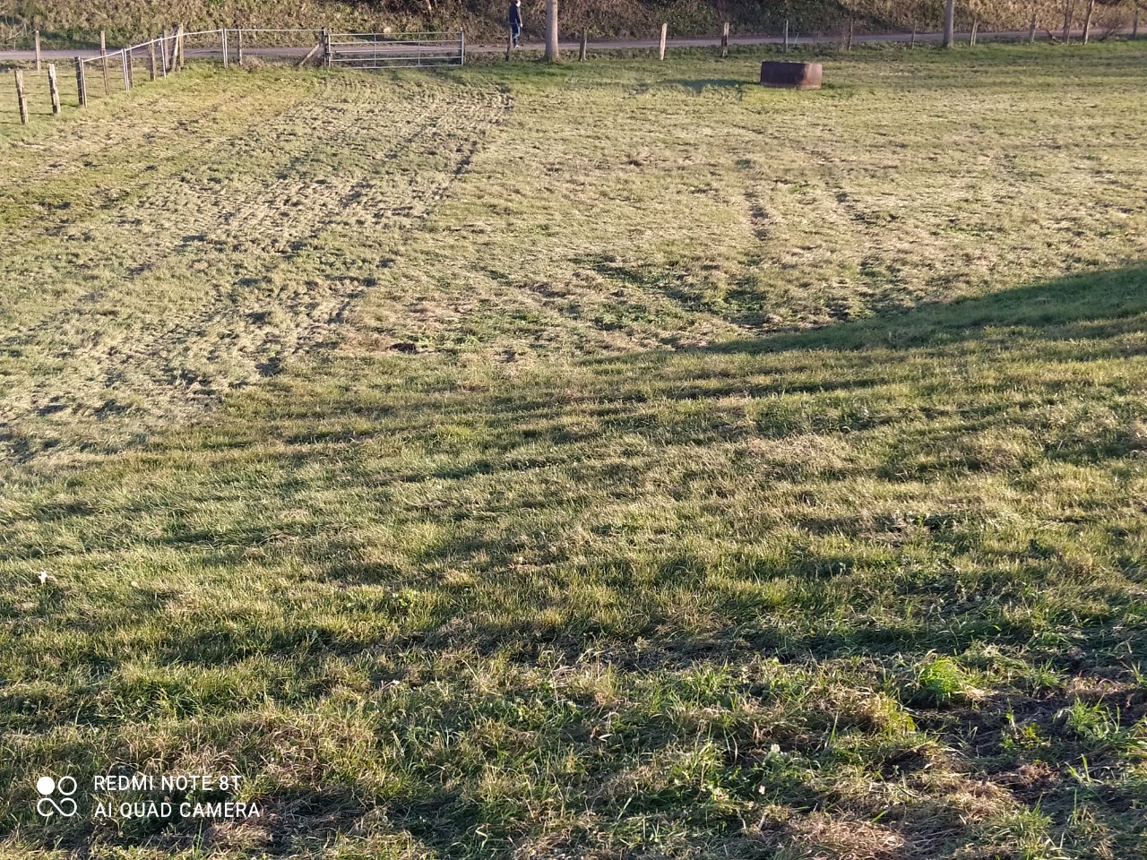 Vente Terrain à Lumbres 0 pièce