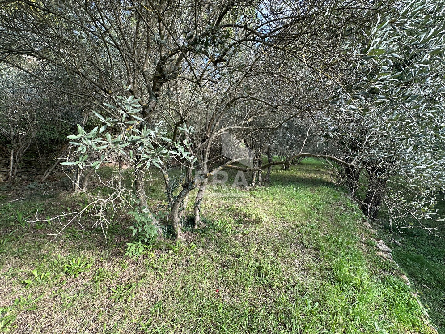 Vente Maison à Saint-Maximin-la-Sainte-Baume 5 pièces