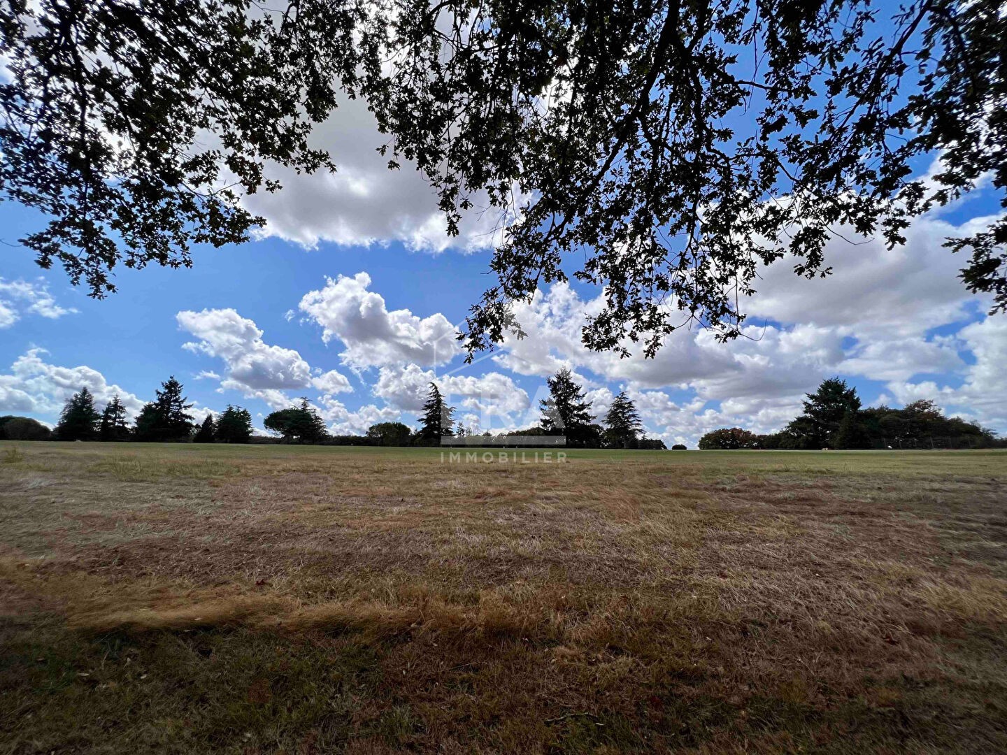 Vente Terrain à Buzet-sur-Tarn 0 pièce