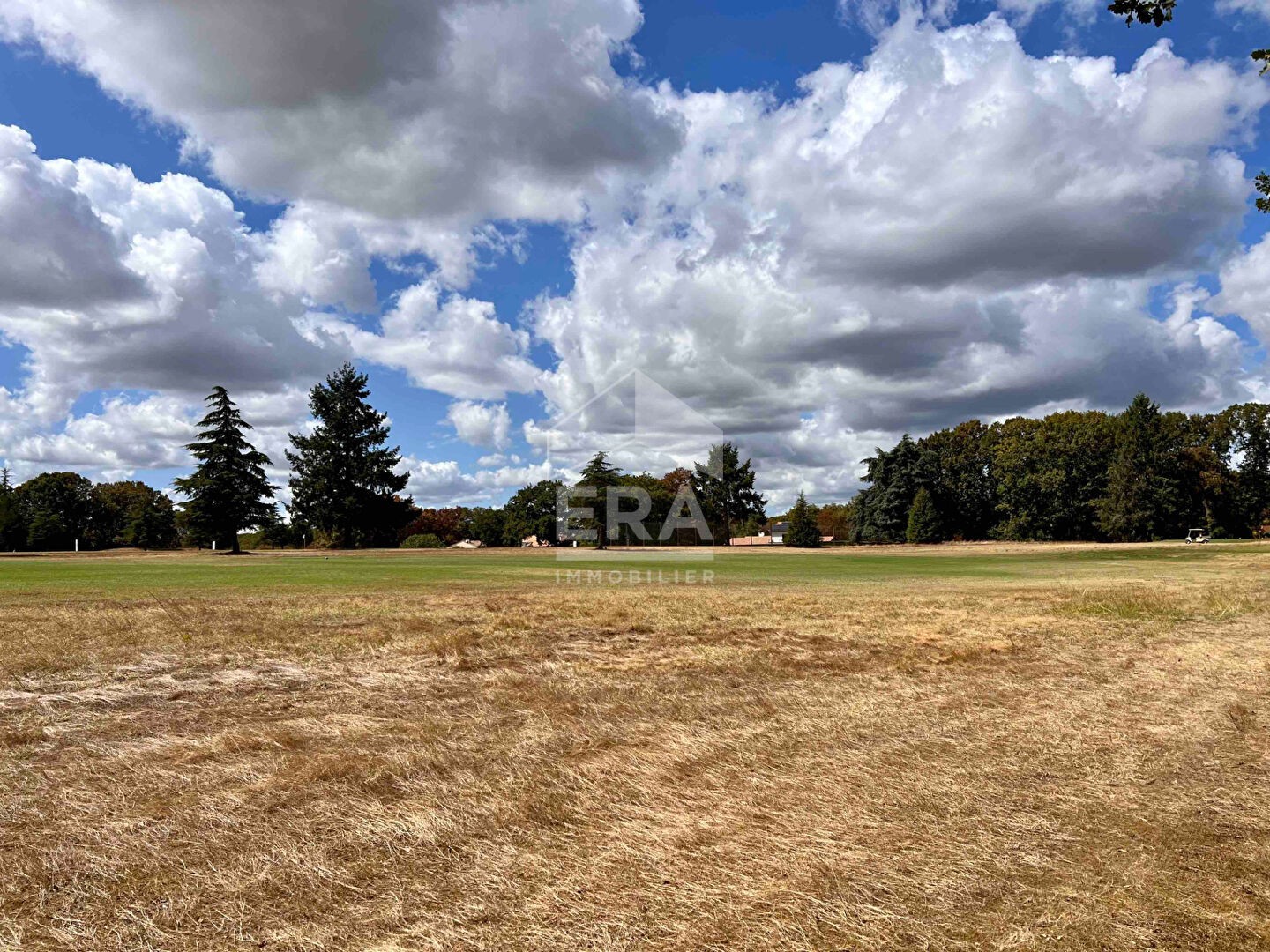 Vente Terrain à Buzet-sur-Tarn 0 pièce